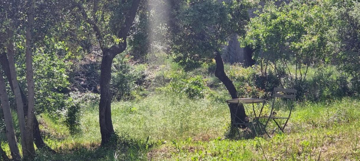 Les Bois De Zola Entre Provence Et Luberon Aparthotel Saint-Esteve-Janson Cameră foto