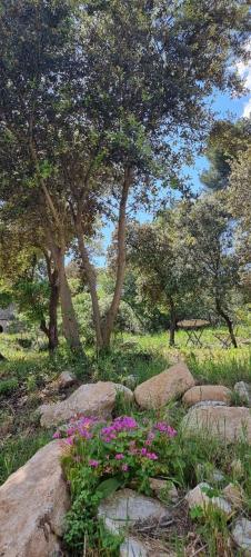 Les Bois De Zola Entre Provence Et Luberon Aparthotel Saint-Esteve-Janson Exterior foto