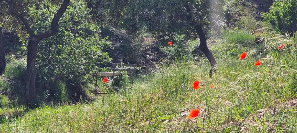 Les Bois De Zola Entre Provence Et Luberon Aparthotel Saint-Esteve-Janson Exterior foto