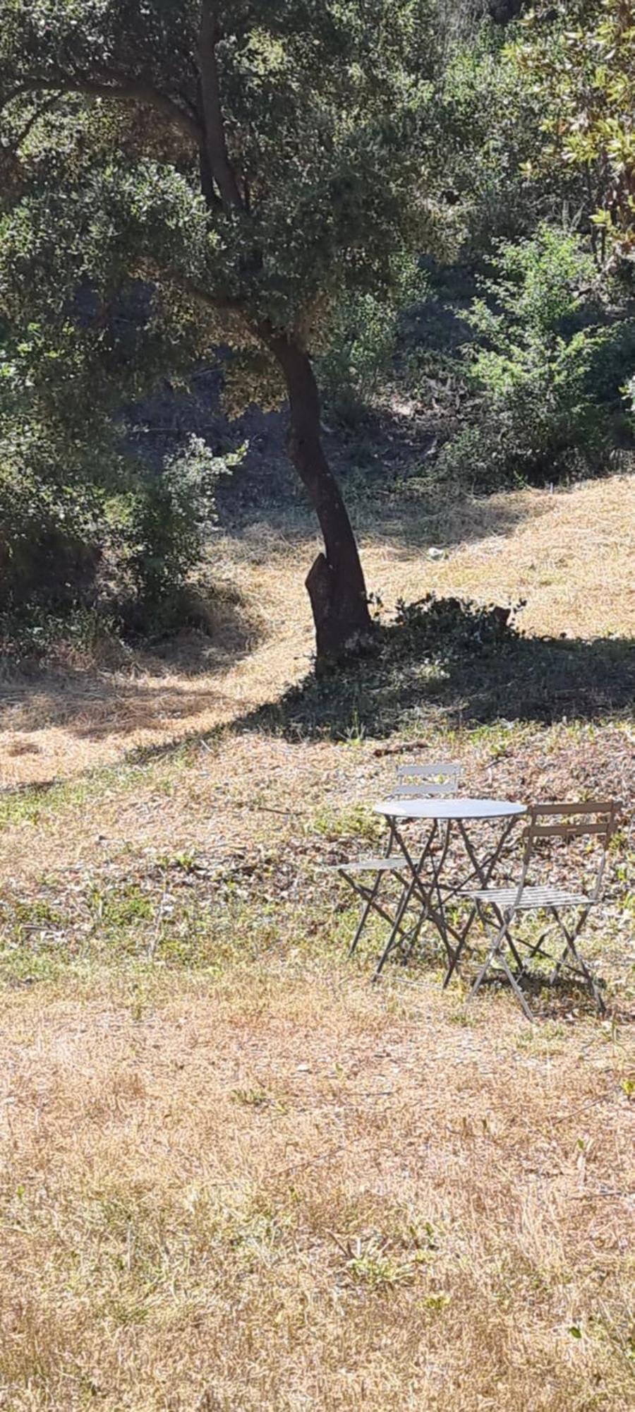 Les Bois De Zola Entre Provence Et Luberon Aparthotel Saint-Esteve-Janson Exterior foto